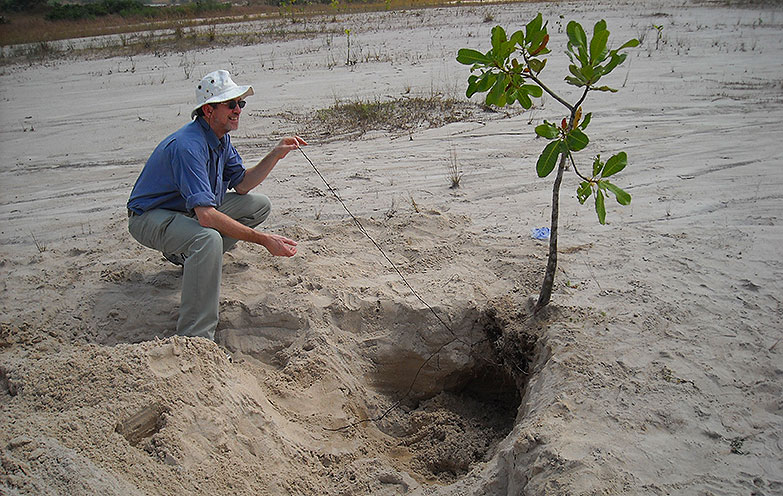scott-root-measurement